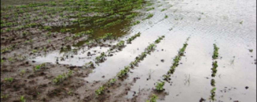 100-odd farmers hit, Socorro fields submerged due to ‘illegal’ roads: Cong