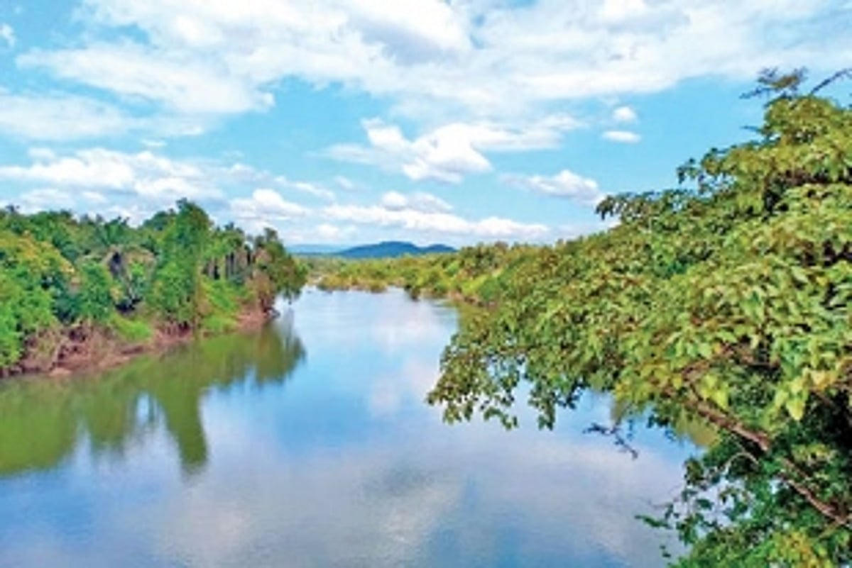 10,000 Goans to form Human Chain to ‘embrace’ Mhadei on May 20