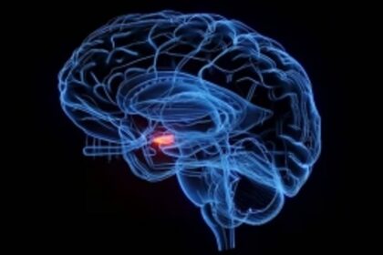 13-Year-Old Makes Medical History as World's First to Beat Rare Brain Cancer in Drug Trial