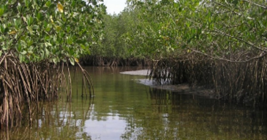 1,335 hectares added to  State’s wetland list