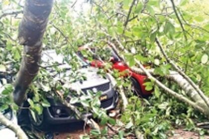 14 cars, nine two-wheelers damaged as trees come crashing down at Candolim, Nerul