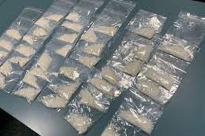 149-kg narcotics seized in Goa in 2020, Union Min informs LS