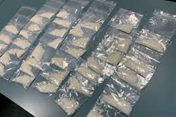 149-kg narcotics seized in Goa in 2020, Union Min informs LS