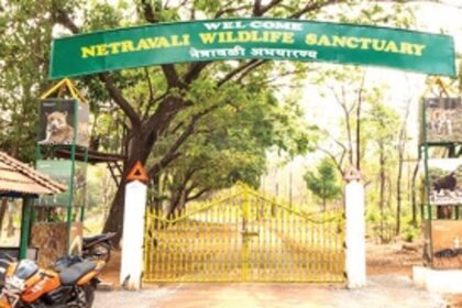 16 KTCL staff arrested for Netravali ‘hunting expedition’ released
