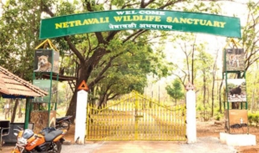 16 KTCL staff arrested for Netravali ‘hunting expedition’ released