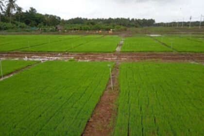 16k sq mtrs notified for conversion from paddy fields & natural cover in three talukas