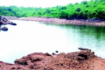 17 wetlands are notified but are our wetlands safe?