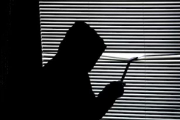 19-year-old ‘Peeping Tom’ held at Mapsua