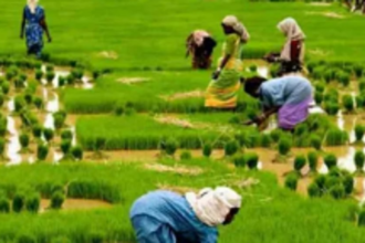 1st phase of paperless agri census from today