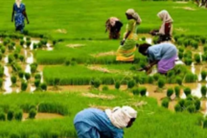 1st phase of paperless agri census from today