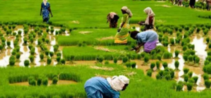 1st phase of paperless agri census from today