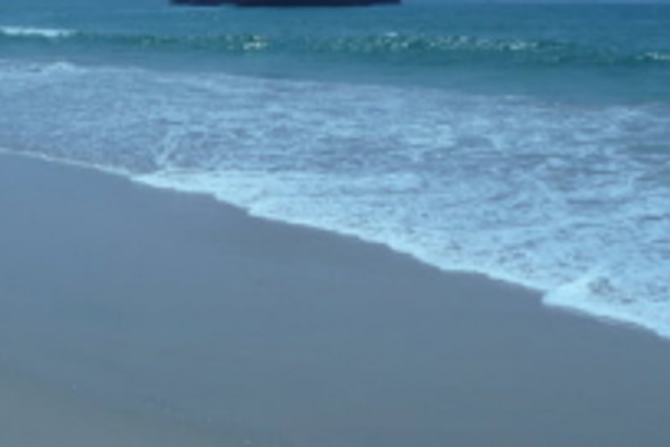 2 Brazilians, UP native  saved from drowning