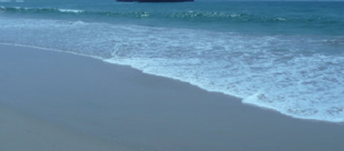 2 Brazilians, UP native  saved from drowning