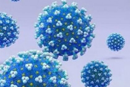 2 UK travellers   test negative for new   COVID strain