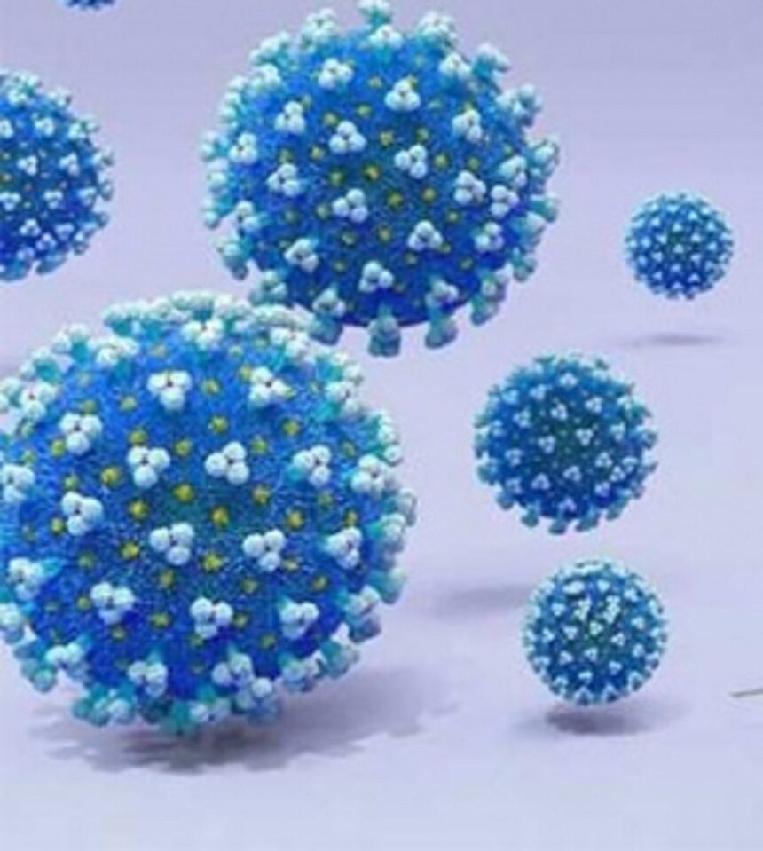 2 UK travellers test negative for new COVID strain 1 2 UK travellers test negative for new COVID strain