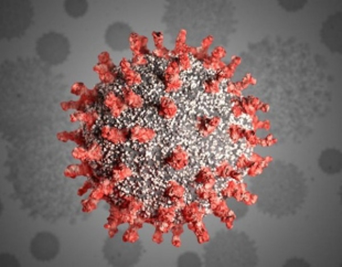 2 deaths, 259 new cases