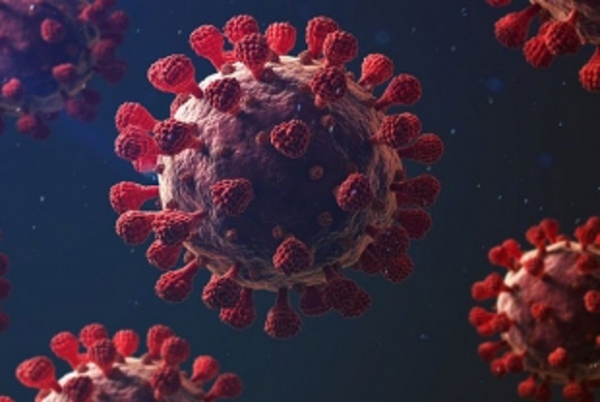 2 schools call off classes, as  teachers test positive for COVID