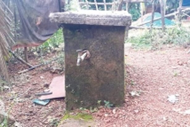 20 houses in Majikwada without tap water for 30 years!