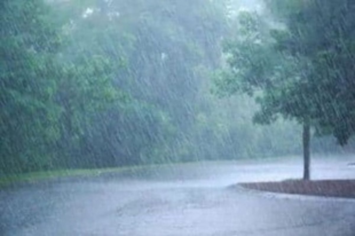 2021 sets record of rain in all 12 months