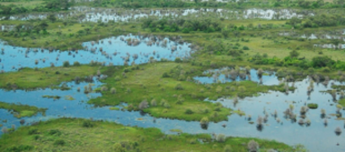 24 water bodies set to be declared as ‘wetlands’