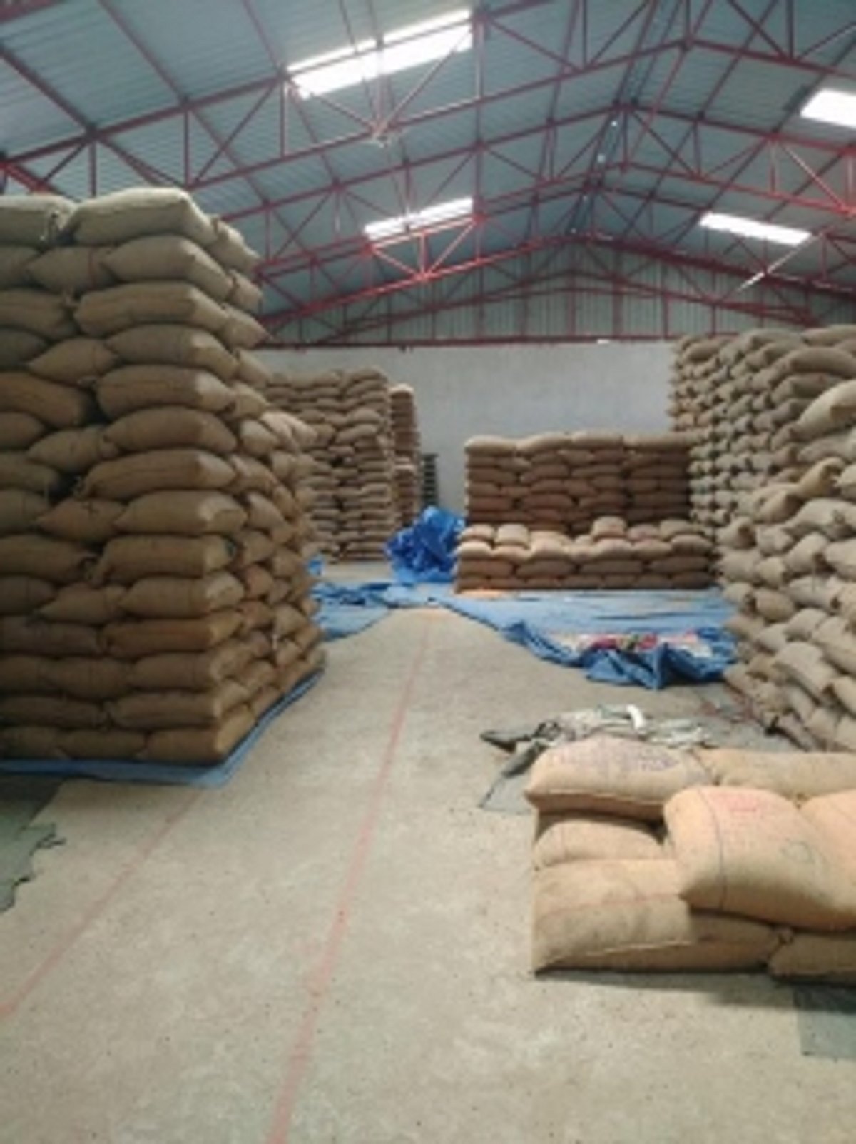 241 MT of toor dal lies rotting in govt godowns