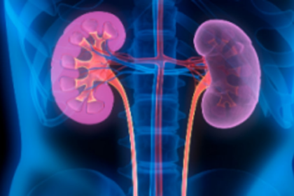 25 kidney transplants performed in Goa Medical College