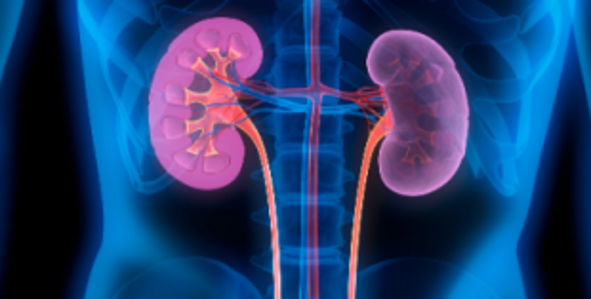 25 kidney transplants performed in Goa Medical College