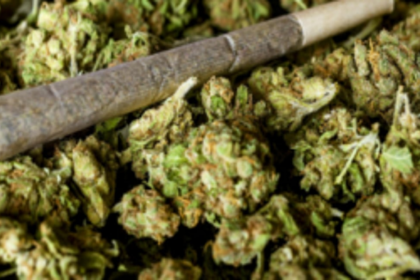 26-yr-old held  with ganja  at Canacona