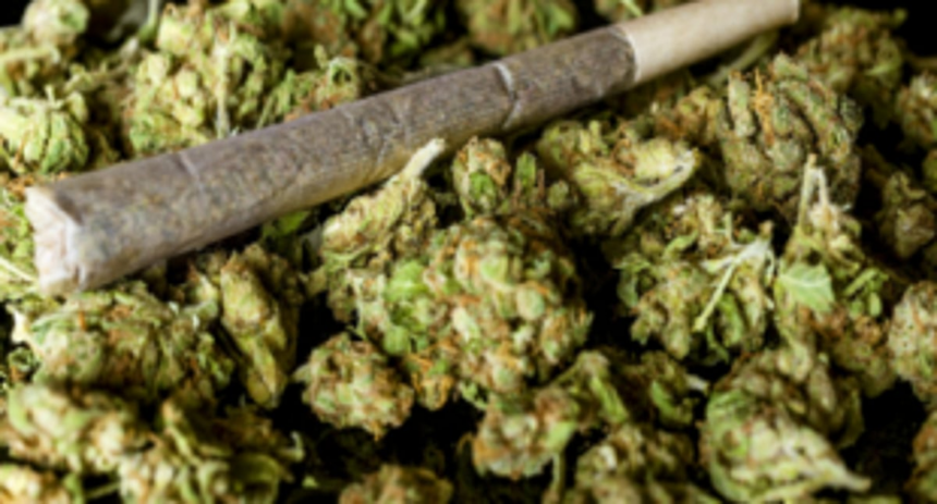 26-yr-old held  with ganja  at Canacona