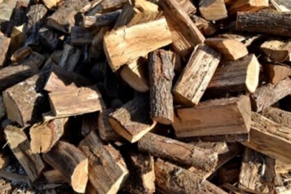 3 held for illegally transporting firewood