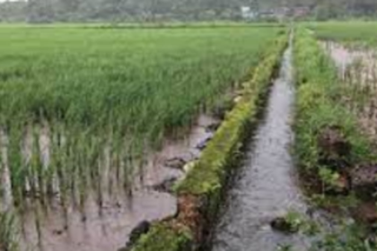 30 ha of agricultural  fields desilted: WRD