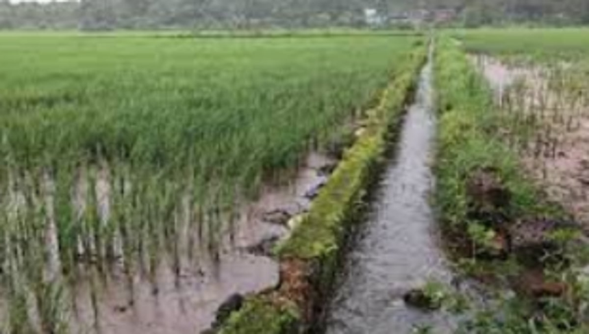 30 ha of agricultural fields desilted: WRD 1 30 ha of agricultural fields desilted: WRD