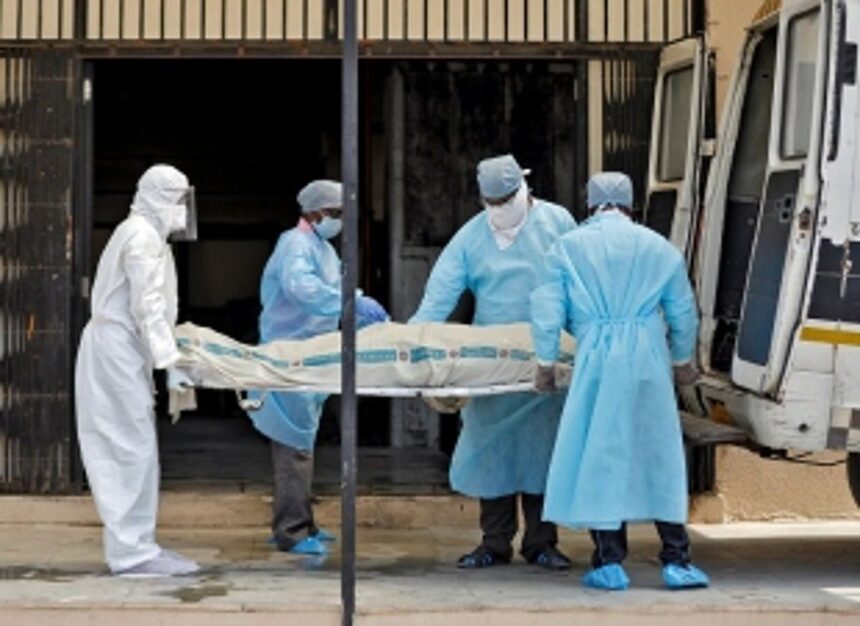 3008 COVID deaths in last 365 days