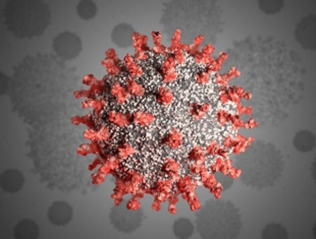 337 new cases, 5 deaths in biggest single-day spike