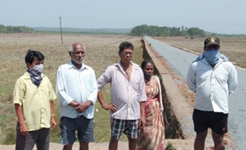 375-odd-Marcaim farmers’ worried about lockdown resulting in vast fallow lands