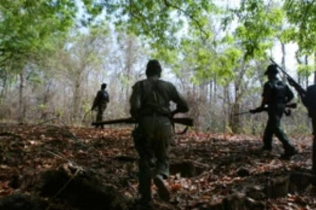 4 Naxalites killed in encounter with police in Maharashtra's Gadchiroli