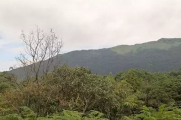45-member panel to prepare Goa’s  biodiversity strategy