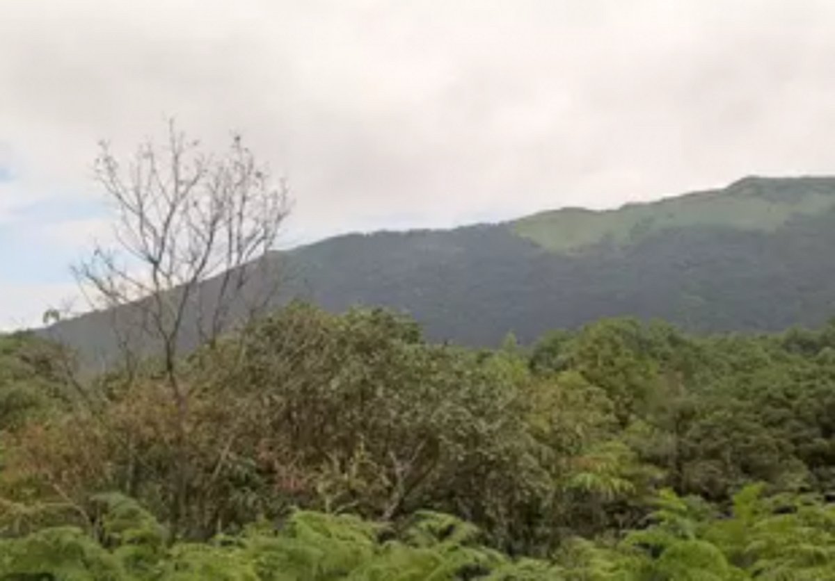 45-member panel to prepare Goa’s  biodiversity strategy