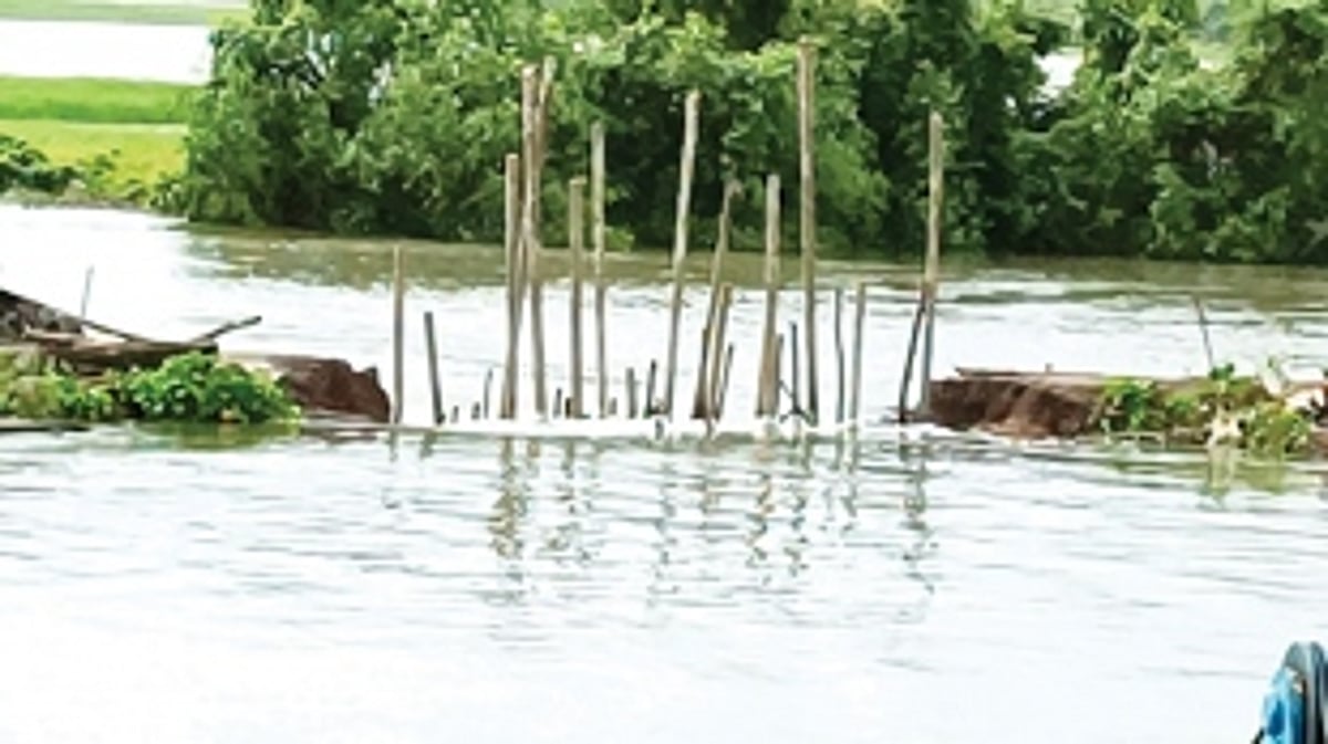 450 Shiroda farmers may lose their entire crop for next year, as their paddy is deep in water