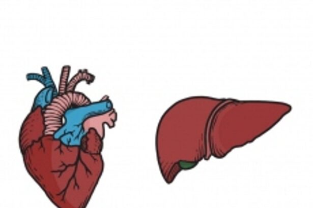 46 patients waiting to receive organs in Goa