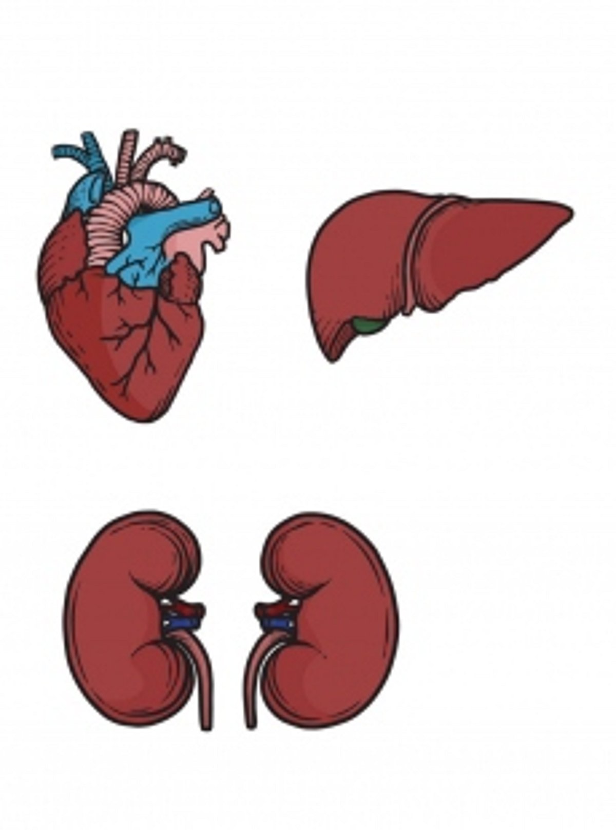 46 patients waiting to receive organs in Goa