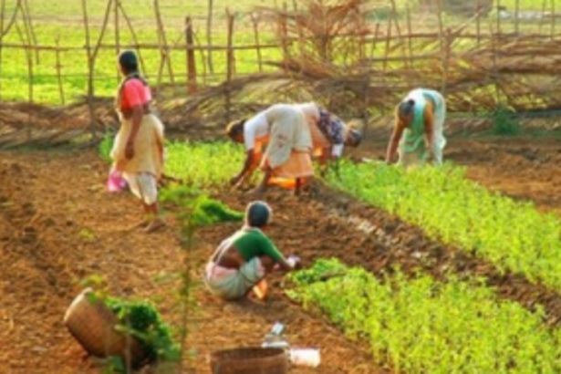 4,822 farmers benefit  from ATMA Scheme