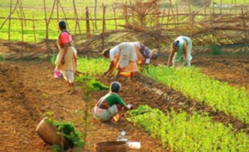 4,822 farmers benefit  from ATMA Scheme