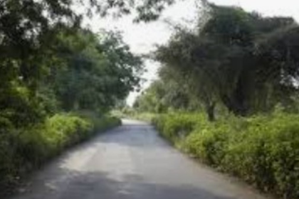 49-Year-Old Farmer Walks 4 Km Home After Bear Attack Near Joida, Undergoes Treatment in Belagavi