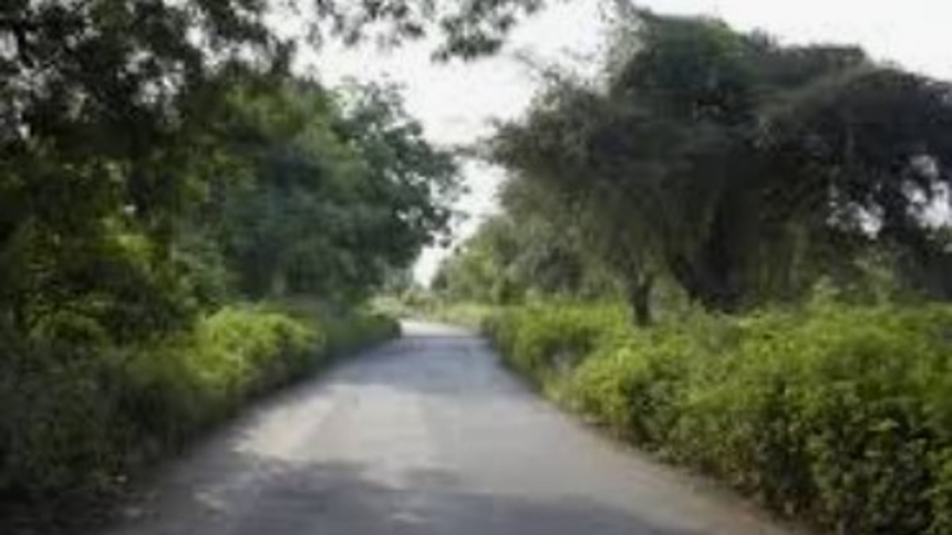 49-Year-Old Farmer Walks 4 Km Home After Bear Attack Near Joida, Undergoes Treatment in Belagavi 1 49-Year-Old Farmer Walks 4 Km Home After Bear Attack Near Joida, Undergoes Treatment in Belagavi