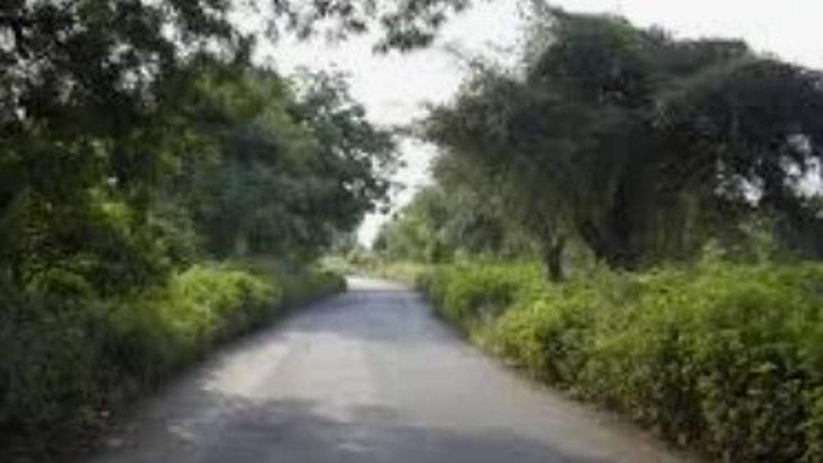 49-Year-Old Farmer Walks 4 Km Home After Bear Attack Near Joida, Undergoes Treatment in Belagavi