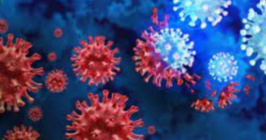 5 COVID-19 positive  sailors isolated