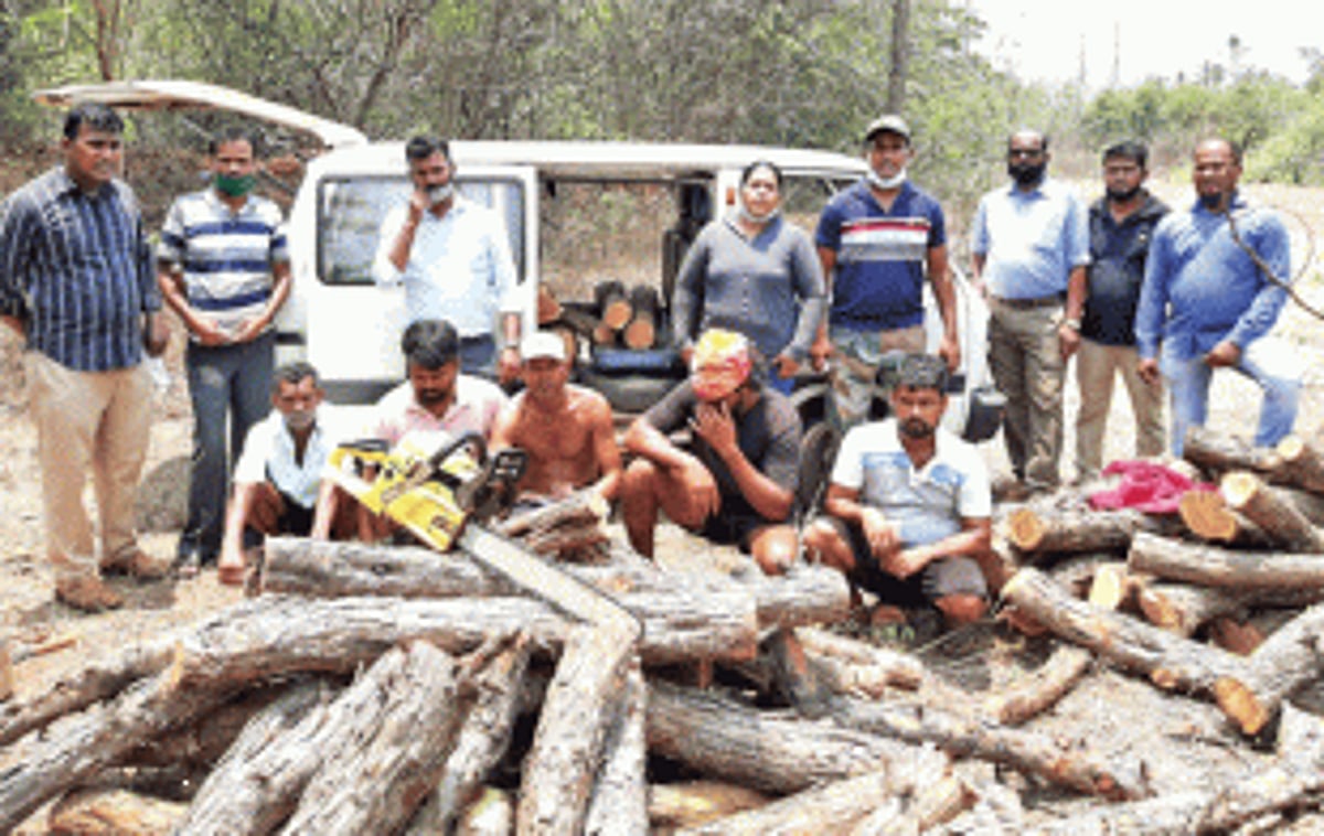 5 arrested for felling 41  khair trees in Kodar Forest