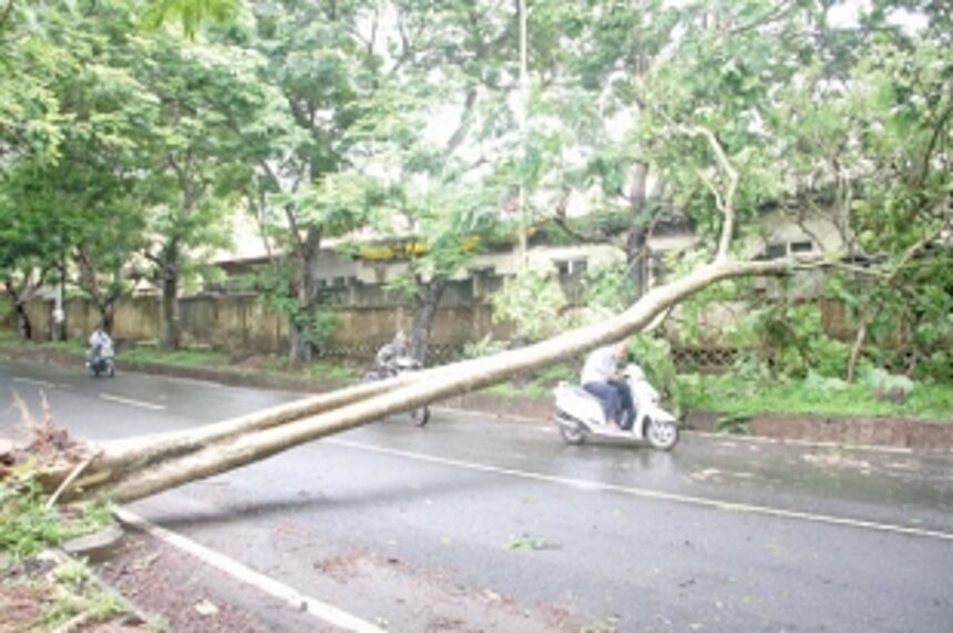 5 inches of rain in 24 hrs throws life out of gear 1 5 inches of rain in 24 hrs throws life out of gear