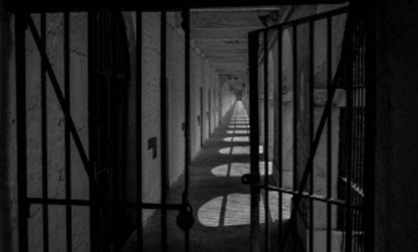 5 murder accused remanded to 14 days in judicial custody